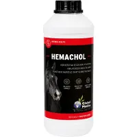 Global Medics Hemachol - 1 L