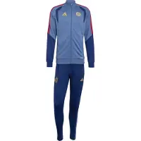 Adidas Chándal 'FC Bayern München' azul / ópalo / oro / rojo