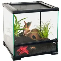 HabiStat Terrario de Vidrio Transparente