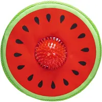 Beeztees Juguete Para Perros Melon Spikie