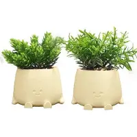 OEM Juego de 2 plantas artificiales estilo bonsái, plantas mini artificiales para sala de estar, oficina o dormitorio