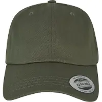 Flexfit Gorra gris / oliva / negro
