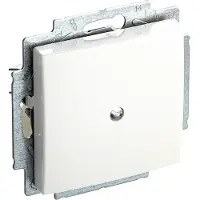 ABB , placa central para interruptores, modelo 2538-914, de un solo interruptor, con aro de soporte y sistema de fijación por expansión, color blanco alpino, 1 unidad.