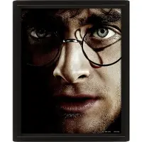 Pyramid Póster Harry Potter Voldemort