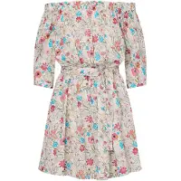 Liu Jo Vestido azul / rosa / blanco
