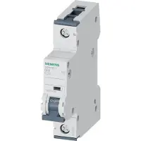 Siemens 5SY4132-7. No categorizado