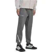 Adidas Pantalón deportivo 'Mercedes-AMG Petronas F1 Team' gris / gris claro