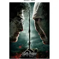 SD Toys Harry Potter Voldemort Vs Harry Rompecabezas 1000 Piezas