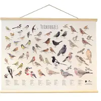 Vogelbescherming - Protección de aves en los Países Bajos