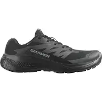 Salomon - Alphaglide GORE-TEX - Zapatillas de trail running size 44, negro/gris