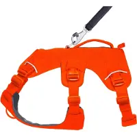 Ruffwear - Web Master Harness - Arnés para perro size XXS, naranja