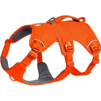 Ruffwear - Web Master Harness - Arnés para perro size M, naranja