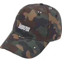 Cayler & Sons Gorra marrón castaño / marrón oscuro / pino / blanco