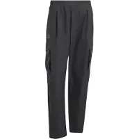 Adidas Pantalón de montaña 'Xploric' negro