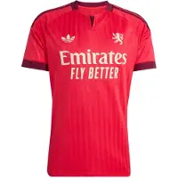 Adidas adidasCAMISETA SEGUNDA EQUIPACIÓN OLYMPIQUE DE LYON 26/27 S Active Pink Hombre