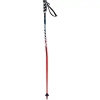 Swix Bastones Wc Pro Sg Junior