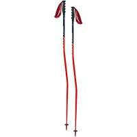 Swix Bastones World Cup Pro Super-g