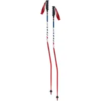 Swix Bastones World Cup Pro Sg Carbon