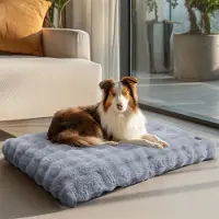 Bingopaw Cama ortopédica para perros, sofá para perros, cojín para perros, ideal para perros grandes, lugar para dormir, impermeable, funda lavable y desmontable. Talla 2XL: 120x90x12 cm, color gris