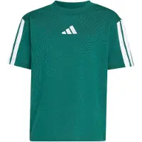 Adidas adidasCamiseta Essentials (Niños) 116 Collegiate Green / White Niño