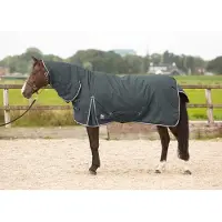 Jansen Manta para montar Harry's Horse Thor de 200 gramos, con cobertura para el cuello, color gris, talla 165 cm