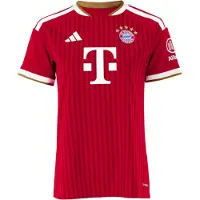 Adidas Camiseta de fútbol 'FC Bayern München 26/27' rojo / burdeos / blanco