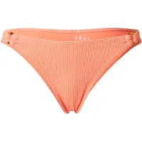 Roxy Braga de bikini 'Sunshine' albaricique
