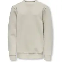 Only & Sons Junior Sudadera 'OSJCeres' greige