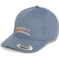 O'Neill Gorra Beach Vintage
