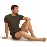 Icebreaker - Anatomica S/S Crewe - Ropa interior merino size M, gris