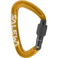Salewa - Ortles Screw Carabiner - Mosquetones de rosca amarillo