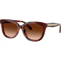 Coach Gafas de sol 'CDP53' marrón