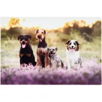 Tarres Felpudo 68701 Dogs 60 X 40 Cm
