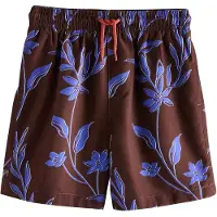 Next Bermudas azul real / chocolate / blanco