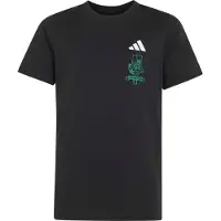 Adidas Camiseta funcional 'x Minecraft' pino / negro