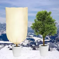 OEM Protección para palmeras en invierno, de 80 x 100 cm, con un grosor de 80 g/m², color beige, resistente a desgarros, con cremallera y cordón ajustable