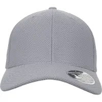 Flexfit Gorra 'Hybrid' gris