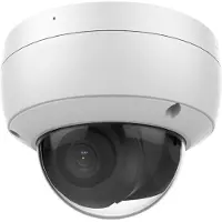 LevelOne FCS-3096: Cámara de vigilancia de red, tipo domo, para uso en exteriores e interiores, resistente a vandalismo y a la intemperie, con visión en color (día y noche)