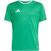 Adidas adidasCamiseta Entrada26 176 Team Green / White Niño