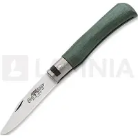 Antonini Navaja Old Bear Junior, verde