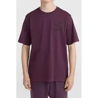 O'Neill The Future Surf Society T-shirt Aubergine Talla: S | Camisetas con Decoración Impresa Outlet | Hombre