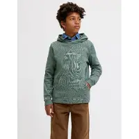 Jack & Jones Kids Jack & JonesSudadera Con Capucha Boys176Verde