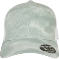Flexfit Gorra '110' menta / blanco