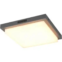 TRIO 630369242: Lámpara de techo LED, 14W, color antracita, IP54, con temperatura de color ajustable