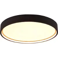 TRIO Lámpara de techo LED, color mate, diámetro 45 cm