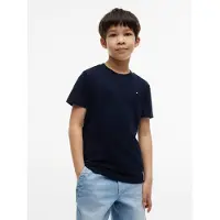 Tommy Hilfiger Camiseta 'Essential' navy / rojo / blanco