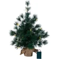 Star Trading 600-35, Zelená, IP20, LED, 20 bombillas, Blanco cálido, Batería