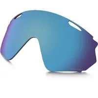 Oakley Lente Wind Jacket 2.0 Prizm