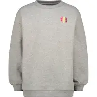 Raizzed Girls Selia Sweater Light Grey Melee Talla: 12 | Chalecos Outlet | Unisex | Gris