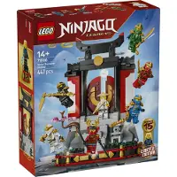 LEGO Exposición de Personajes Ninja: 15 Aniversario